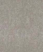 Curiosity 538335