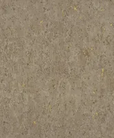 Curiosity 538342