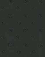 Dolce&Gabbana Casa TCW007TCAI9U0072