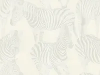 Dolce&Gabbana Casa TCW007TCAHOUZ006