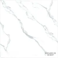Statuario Ice PET Zidni Panel